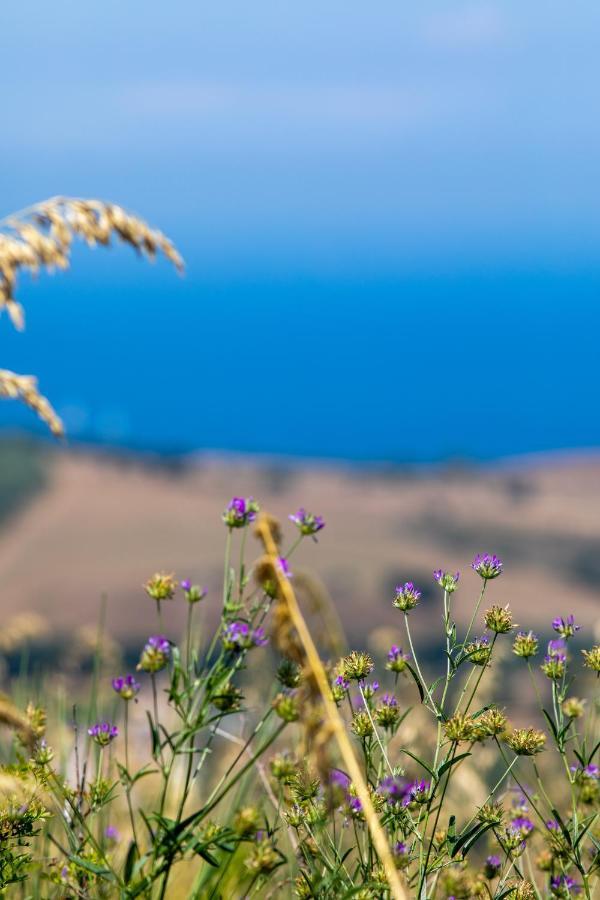 Апарт отель Il Panorama Housing Cilento Санта-Мария-ди-Кастеллабате Экстерьер фото