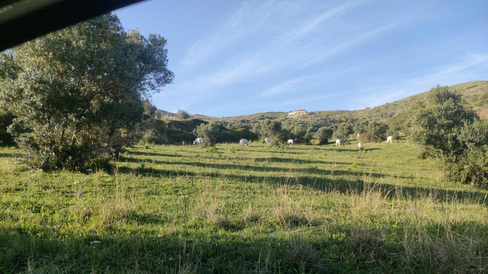 Апарт отель Il Panorama Housing Cilento Санта-Мария-ди-Кастеллабате Экстерьер фото
