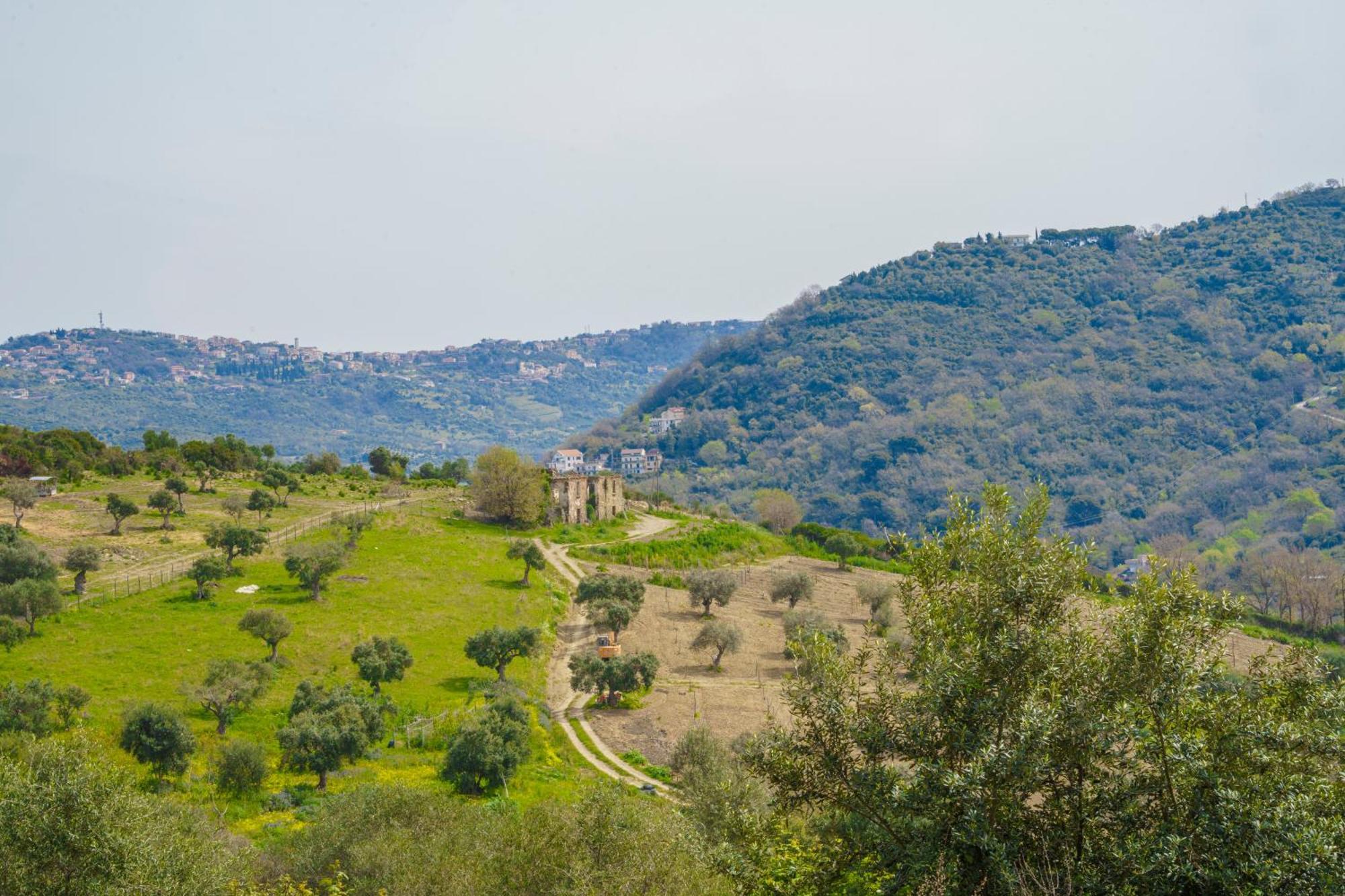 Апарт отель Il Panorama Housing Cilento Санта-Мария-ди-Кастеллабате Экстерьер фото